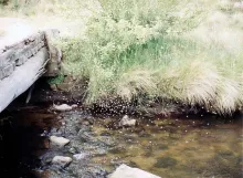 User submitted picture: This white cloud holds th...