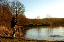 User submitted picture: "in action"