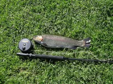 User submitted picture: the greath fishing