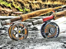 User submitted picture: Twins