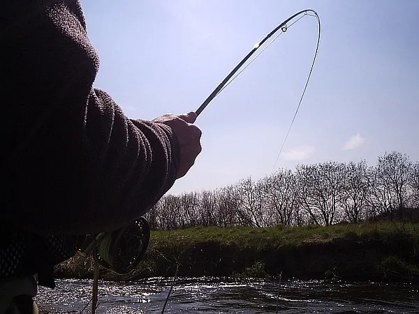 User submitted picture: Going with the flow...