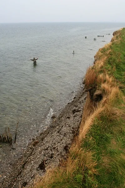 User submitted picture: GFF 07, Ripley