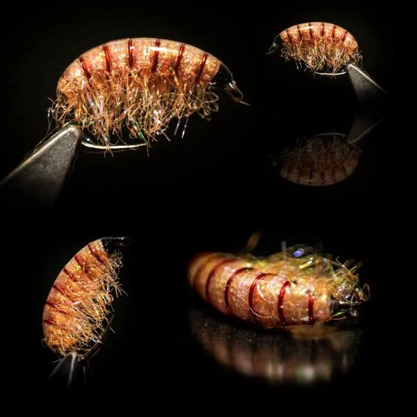 User submitted picture: EPOXY GAMMARUS
Ice Dubbi...