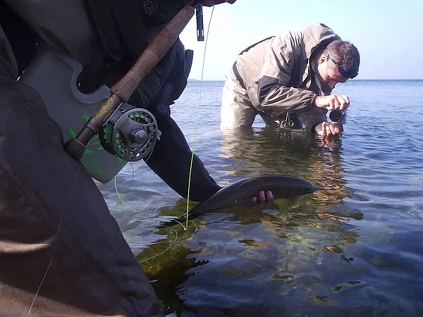 User submitted picture: GFF summit '06. Me (Ripl...