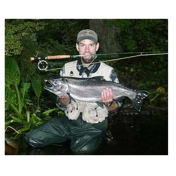 User submitted picture: Silver Salmon