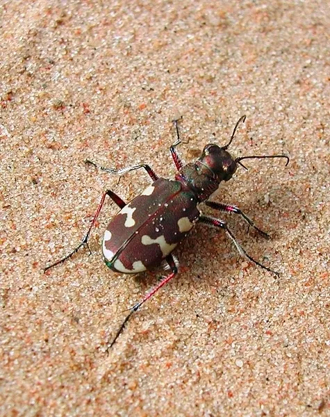 User submitted picture: Things you see when you l...