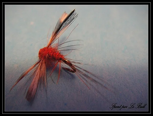 User submitted picture: red spent