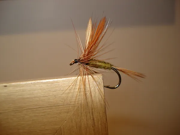 User submitted picture: Dry II