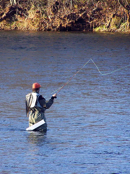 User submitted picture: Casting for autumn grayli...